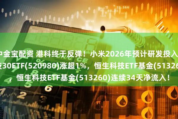 中金宝配资 港科终于反弹！小米2026年预计研发投入400亿元！港股通科技30ETF(520980)涨超1%，恒生科技ETF基金(513260)连续34天净流入！